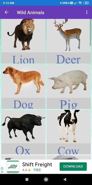 Run android online APK Animals Learning: Animals, Birds, Insects Images from MyAndroid or emulate Animals Learning: Animals, Birds, Insects Images using MyAndroid Run android online APK Animals Learning: Animals, Birds, Insects Images from MyAndroid or emulate Animals Learning: Animals, Birds, Insects Images using MyAndroid