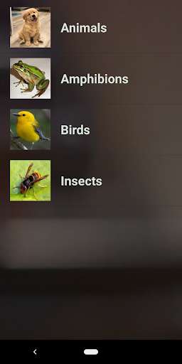 Run android online APK Animals Name and Sounds from MyAndroid or emulate Animals Name and Sounds using MyAndroid