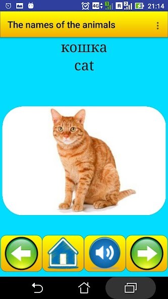 Run android online APK Animals names in Russian from MyAndroid or emulate Animals names in Russian using MyAndroid Run android online APK Animals names in Russian from MyAndroid or emulate Animals names in Russian using MyAndroid