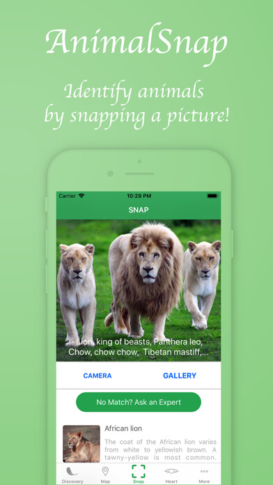 Emulate iPhone app AnimalSnap - Identify Animals using MyAndroid Emulate iPhone app AnimalSnap - Identify Animals using MyAndroid