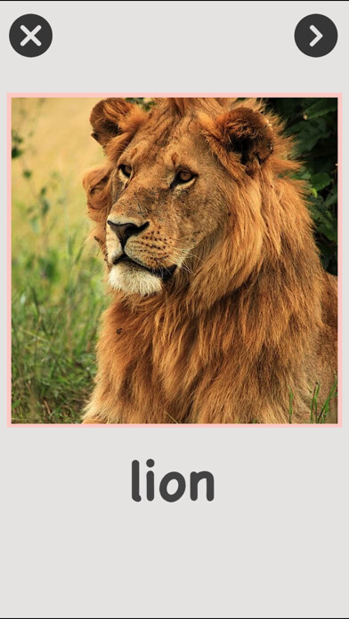 Emulate iPhone app Animal Sounds - Baby & Toddler Game using MyAndroid
