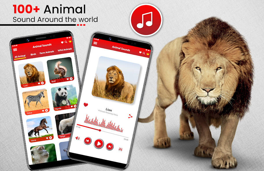 Run android online APK Animal Sounds Birds Ringtones from MyAndroid or emulate Animal Sounds Birds Ringtones using MyAndroid Run android online APK Animal Sounds Birds Ringtones from MyAndroid or emulate Animal Sounds Birds Ringtones using MyAndroid