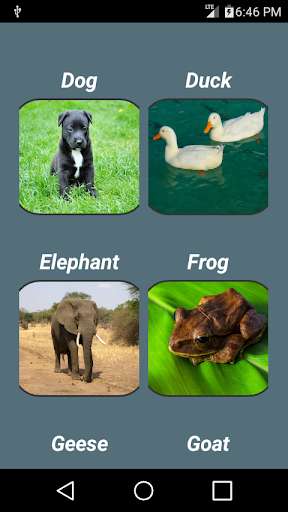 Emulate Android APK Animal Sounds Children Like