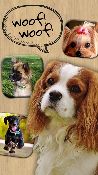 Emulate iPhone app Animal Sounds – Dogs, Cats using MyAndroid Emulate iPhone app Animal Sounds – Dogs, Cats using MyAndroid