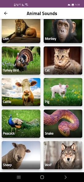 Run android online APK Animal sounds in nature from MyAndroid or emulate Animal sounds in nature using MyAndroid Run android online APK Animal sounds in nature from MyAndroid or emulate Animal sounds in nature using MyAndroid