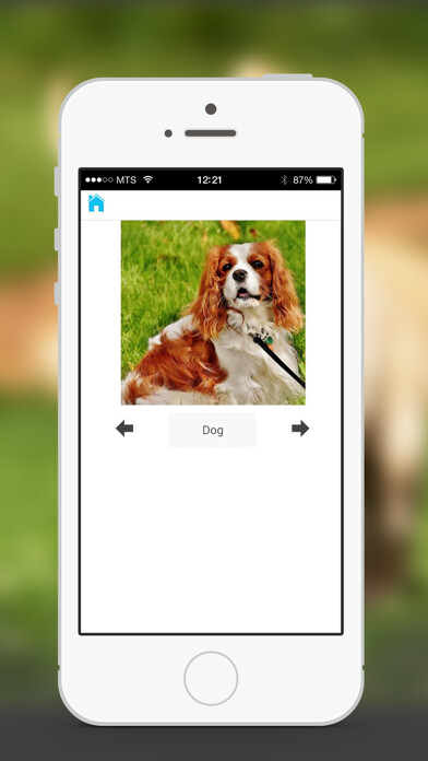Emulate iPhone app Animal Sounds & Photos for Kids using MyAndroid Emulate iPhone app Animal Sounds & Photos for Kids using MyAndroid