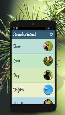 Emulate Android APK Animal Sounds - Relaxing Emulate Android APK Animal Sounds - Relaxing