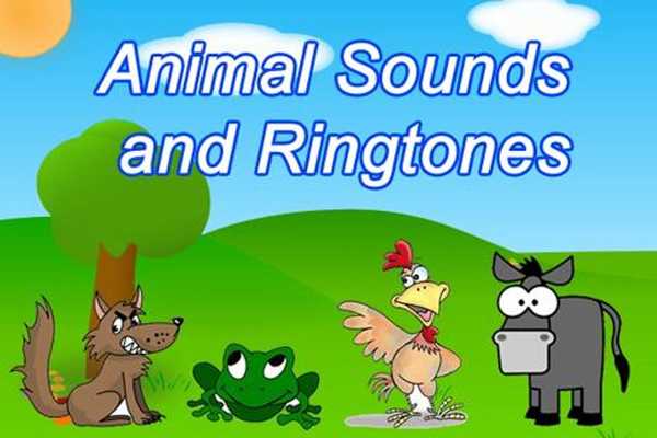 Emulate Android APK Animal Sounds Ringtones Kids Emulate Android APK Animal Sounds Ringtones Kids