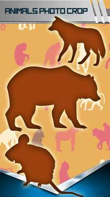 Emulate Android APK Animals Photo Crop Emulate Android APK Animals Photo Crop