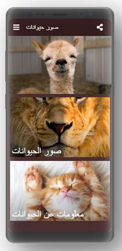 Run android online APK Animals pictures 2020 from MyAndroid or emulate Animals pictures 2020 using MyAndroid Run android online APK Animals pictures 2020 from MyAndroid or emulate Animals pictures 2020 using MyAndroid
