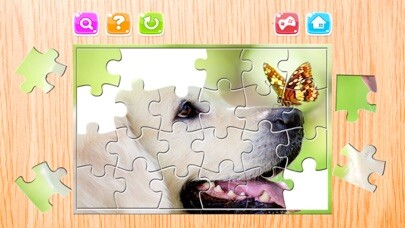 Emulate iPhone app Animals Puzzle for Adults Jigsaw Puzzles Game Free using MyAndroid Emulate iPhone app Animals Puzzle for Adults Jigsaw Puzzles Game Free using MyAndroid