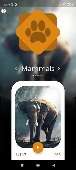 Run android online APK Animals Quest - Fun Quiz from MyAndroid or emulate Animals Quest - Fun Quiz using MyAndroid