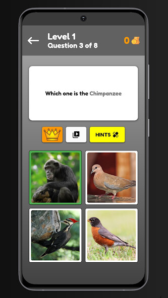 Run android online APK Animals Quiz from MyAndroid or emulate Animals Quiz using MyAndroid Run android online APK Animals Quiz from MyAndroid or emulate Animals Quiz using MyAndroid