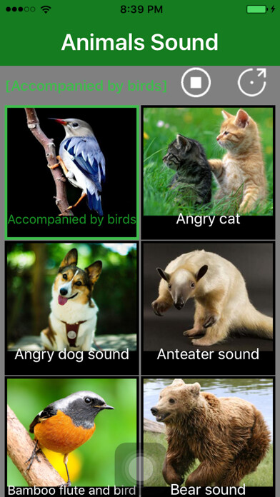 Emulate iPhone app Animals Sound - Animal Sound Effects Free using MyAndroid Emulate iPhone app Animals Sound - Animal Sound Effects Free using MyAndroid