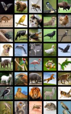 Emulate Android APK Animals Sound Box PRO Emulate Android APK Animals Sound Box PRO