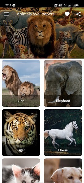 Run android online APK Animals Wallpapers HD 4K from MyAndroid or emulate Animals Wallpapers HD 4K using MyAndroid Run android online APK Animals Wallpapers HD 4K from MyAndroid or emulate Animals Wallpapers HD 4K using MyAndroid