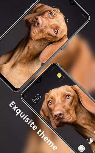 Run android online APK Animal theme Cute yellow big dog bright big eyes from MyAndroid or emulate Animal theme Cute yellow big dog bright big eyes using MyAndroid Run android online APK Animal theme Cute yellow big dog bright big eyes from MyAndroid or emulate Animal theme Cute yellow big dog bright big eyes using MyAndroid