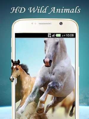 Emulate Android APK animal wallpaper backgrounds