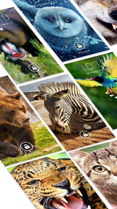 Emulate iPhone app Animal Wallpapers & Backgrounds using MyAndroid Emulate iPhone app Animal Wallpapers & Backgrounds using MyAndroid
