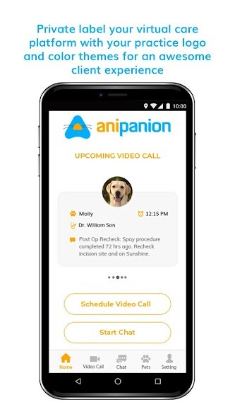 Emulate Android APK Anipanion