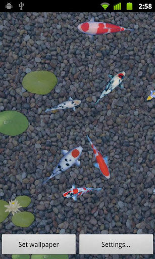 Run android online APK aniPet Koi LiveWallpaper from MyAndroid or emulate aniPet Koi LiveWallpaper using MyAndroid Run android online APK aniPet Koi LiveWallpaper from MyAndroid or emulate aniPet Koi LiveWallpaper using MyAndroid
