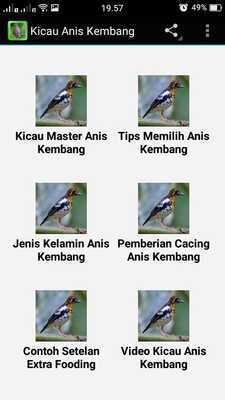 Emulate Android APK Anis Kembang Chirping