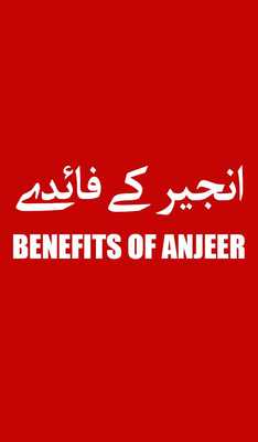 Emulate Android APK Anjeer k Fawaid (Benefits Of Fig) Emulate Android APK Anjeer k Fawaid (Benefits Of Fig)
