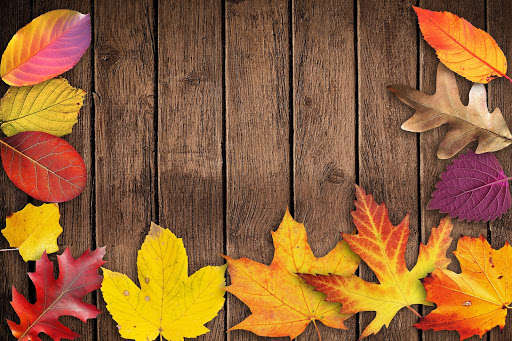 Run android online APK Anniversary Wallpapers from MyAndroid or emulate Anniversary Wallpapers using MyAndroid