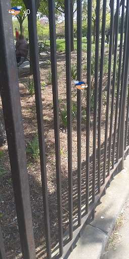 Run android online APK Annoying Mosquitoes from MyAndroid or emulate Annoying Mosquitoes using MyAndroid