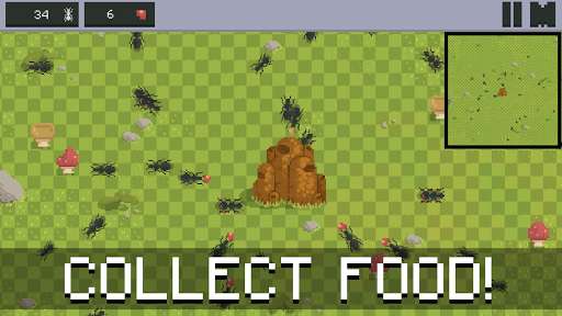 Run android online APK Ant Colony - Simulator (early access) from MyAndroid or emulate Ant Colony - Simulator (early access) using MyAndroid