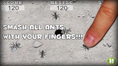 Emulate iPhone app Ant Destroyer FREE using MyAndroid Emulate iPhone app Ant Destroyer FREE using MyAndroid
