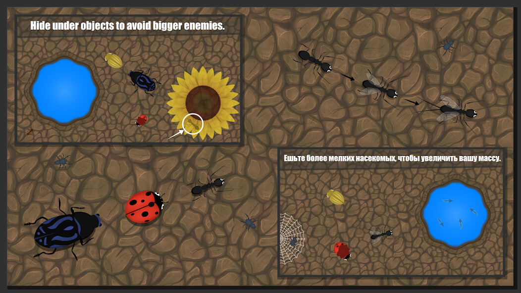Run android online APK Ant Evolution : Insect Life from MyAndroid or emulate Ant Evolution : Insect Life using MyAndroid