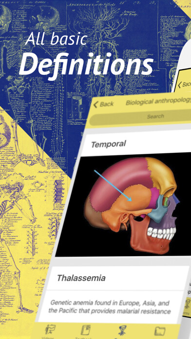 Emulate iPhone app Anthropology — Cultural, etc. using MyAndroid Emulate iPhone app Anthropology — Cultural, etc. using MyAndroid