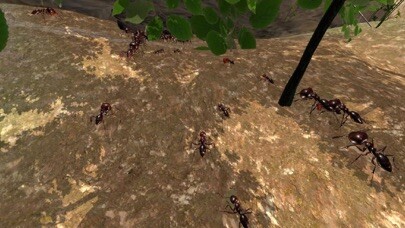 Emulate iPhone app Ant Simulation Full using MyAndroid Emulate iPhone app Ant Simulation Full using MyAndroid