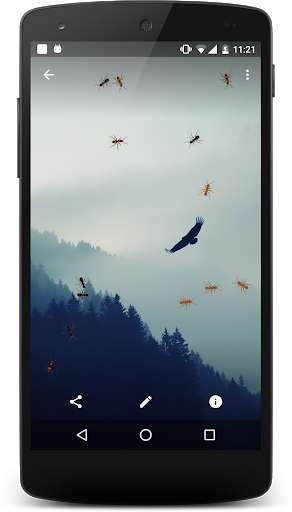 Run android online APK Ants On Phone Prank from MyAndroid or emulate Ants On Phone Prank using MyAndroid