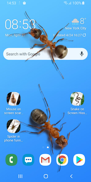 Run android online APK Ants on Screen Funny Joke from MyAndroid or emulate Ants on Screen Funny Joke using MyAndroid Run android online APK Ants on Screen Funny Joke from MyAndroid or emulate Ants on Screen Funny Joke using MyAndroid