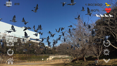 Emulate iPhone app Anywhere Pigeon AR using MyAndroid