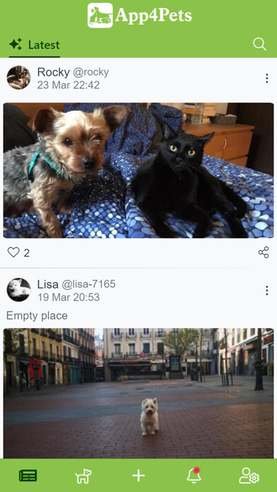 Run android online APK App4Pets - Pets social network from MyAndroid or emulate App4Pets - Pets social network using MyAndroid Run android online APK App4Pets - Pets social network from MyAndroid or emulate App4Pets - Pets social network using MyAndroid