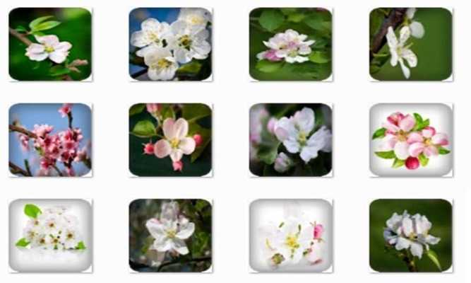 Emulate Android APK Apple Blossom Connect Game