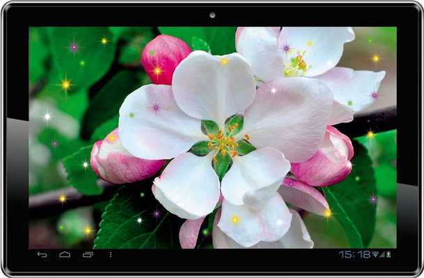 Emulate Android APK Apple Blossoms Free HD LWP Emulate Android APK Apple Blossoms Free HD LWP