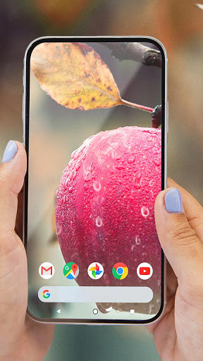 Run android online APK Apple Rain Drops Live Video Wallpaper from MyAndroid or emulate Apple Rain Drops Live Video Wallpaper using MyAndroid