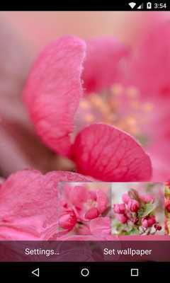 Emulate Android APK Apple Tree Live Wallpaper