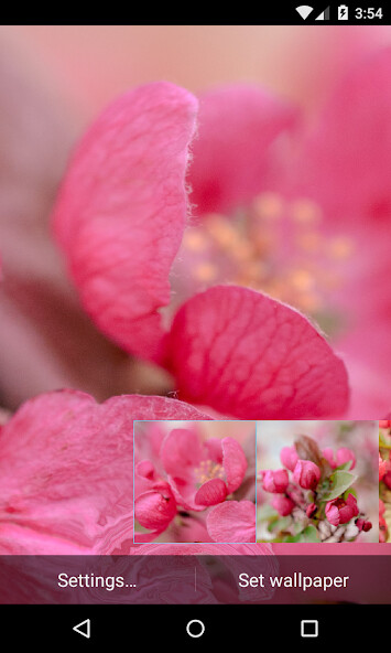 Run android online APK Apple Tree Wallpaper from MyAndroid or emulate Apple Tree Wallpaper using MyAndroid Run android online APK Apple Tree Wallpaper from MyAndroid or emulate Apple Tree Wallpaper using MyAndroid