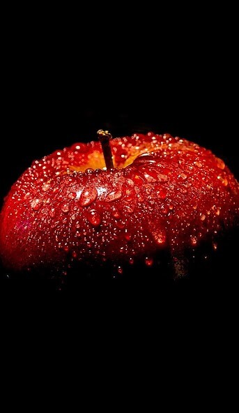Run android online APK Apple Wallpaper 4K from MyAndroid or emulate Apple Wallpaper 4K using MyAndroid Run android online APK Apple Wallpaper 4K from MyAndroid or emulate Apple Wallpaper 4K using MyAndroid