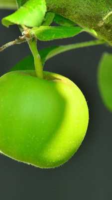 Emulate Android APK apple wallpapers live