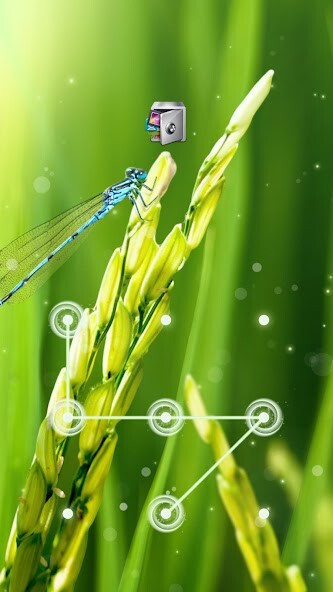 Run android online APK AppLock Live Theme Paddy from MyAndroid or emulate AppLock Live Theme Paddy using MyAndroid