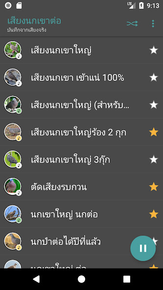 Run android online APK Appp.io - Spotted dove sounds from MyAndroid or emulate Appp.io - Spotted dove sounds using MyAndroid Run android online APK Appp.io - Spotted dove sounds from MyAndroid or emulate Appp.io - Spotted dove sounds using MyAndroid