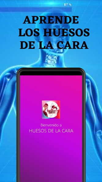 Run android online APK Aprende Huesos de la Cara from MyAndroid or emulate Aprende Huesos de la Cara using MyAndroid