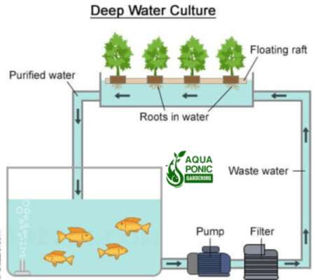 Emulate Android APK Aquaponics Gardening System