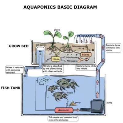 Emulate Android APK Aquaponic System